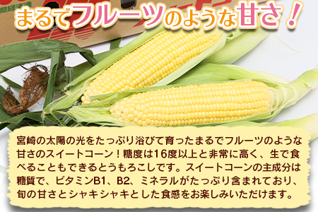 予約受付！数量限定＜宮崎県産 スイートコーン 約9kg（約4.5kg×2箱）＞2025年5月下旬～6月中旬迄に順次出荷【 先行予約 穀物 野菜 甘い 季節限定 とうもろこし おやつ ご飯 スープ サラダ BBQ 屋台 】【a0451_ja】