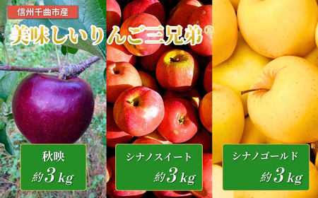 【2026年先行予約】美味しいりんご三兄弟®（秋映、シナノスイート、シナノゴールド）食べ比べ｜りんご
