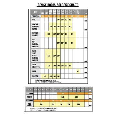 ふるさと納税 田原本町 GENカービング対応スキーブーツ25.0cm / GEN CARVE5 / BLK |  | 02