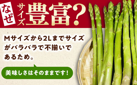 【3月中旬以降順次発送】朝採れアスパラガス2kg [WCT002] アスパラガス アスパラ  野菜 アスパラガス アスパラ