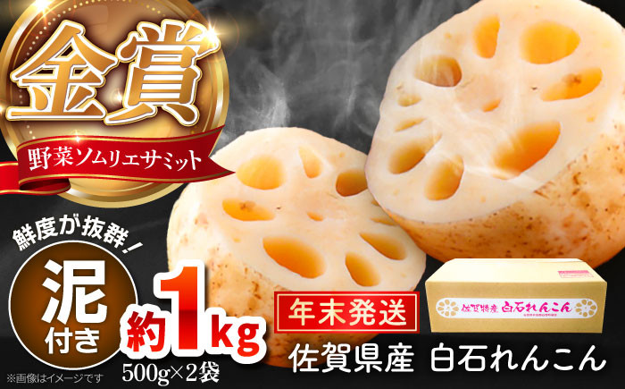 
            【先行予約】【年末発送】＜野菜ソムリエサミット金賞受賞＞松尾青果のこだわり白石れんこん（泥付き） 約1kg（500g×2袋）【松尾青果】佐賀県産 農家直送 直送 白石れんこん レンコン 蓮根 根菜 野菜 白石町産 高品質 九州 佐賀県 白石町 [IBD017]
          
