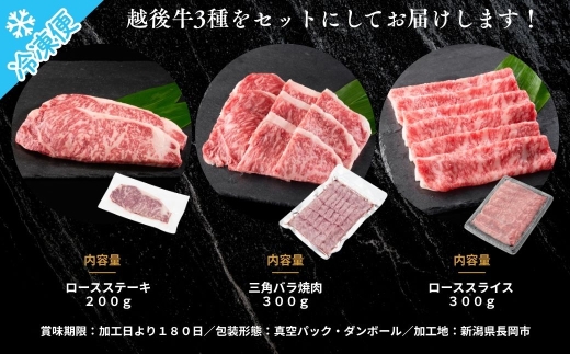 新潟 越後牛 3種 ロースステーキ 200g 三角バラ焼肉 300g ローススライス 200g 計700g 三国 | 小分け 焼肉用 冷凍 ブランド牛 焼肉 越後牛 国産牛 新潟県産 焼き肉 和牛 牛