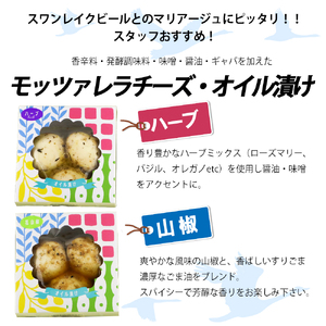 スワンレイクビール 世界一金賞受賞入り ビール8本＆ヤスダヨーグルトモッツァレラチーズ2種 阿賀野市 新潟県 阿賀野 ビ－ル クラフト 飲み比べ クラフトビール お酒  1S52023