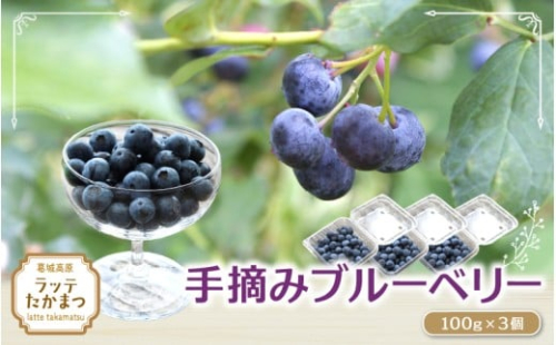 手摘みブルーベリー 7月末頃～8月末頃 100g×3個 ／ 葛城 高原 牧場 【latt029】