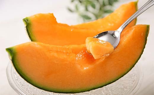 糖度15度前後の北海道赤肉メロン