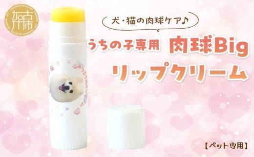 
うちの子専用肉球 Bigリップクリーム 《 ペットグッズ 愛犬 ケア 国産みつろう100% オーガニック スティックタイプ 大容量 ホホバオイル 》
