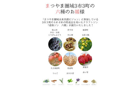 【お中元対象】クラフトジン 道後ジン 六媛 500ml×1本・トニック 200ml×2本 酒 BJAI002
