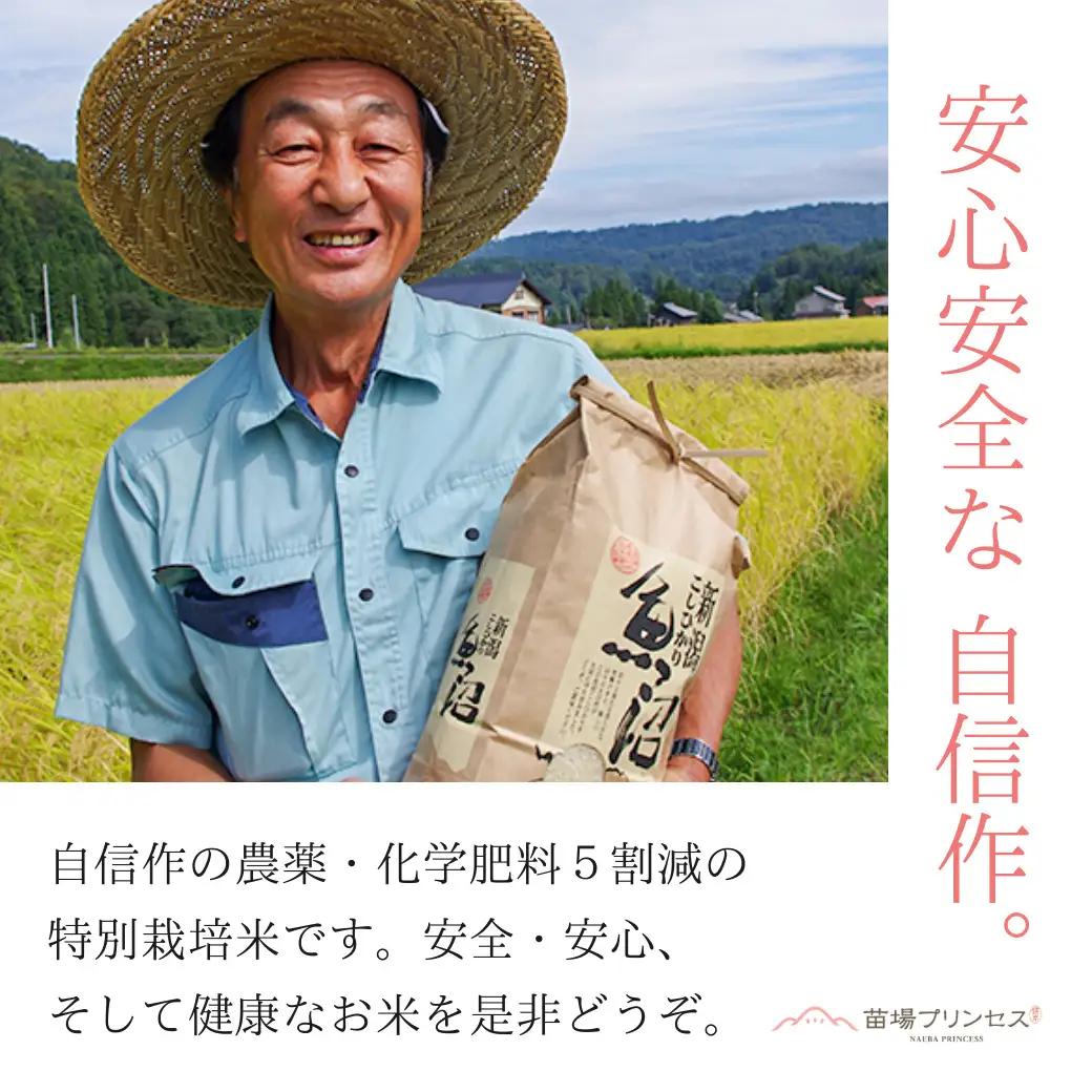 【令和8年産先行予約】【6ヶ月定期便】【農薬化学肥料5割減】魚沼産にじのきらめき苗場プリンセス特別栽培米 精米27kg(9kg×3) 計162kg | 津南町 にじのきらめき