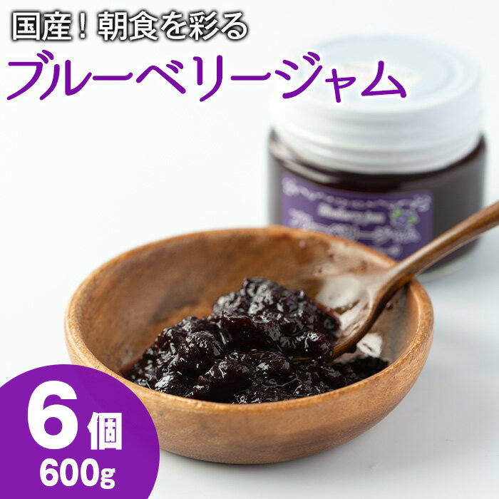【ふるさと納税】贅沢な国産ブルーベリージャム(100g×6個・計600g)ジャム 瓶 果物 果実 フルーツ パン【村山製油】【12161】