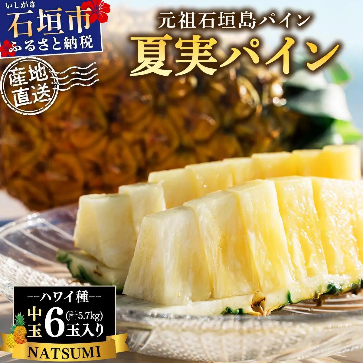 パイナップル 夏実パイン 中玉6玉 約5.7kg