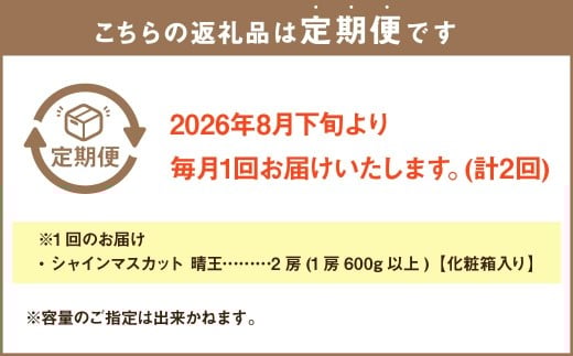 【2回定期便】岡山県産 シャインマスカット 晴王 計約2.4kg 2房（1房600g以上）×2回【2026年8月下旬発送開始】 フルーツ 果物 くだもの 定期便 2回 ぶどう 葡萄 マスカット 岡山