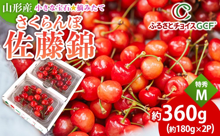 
                  【GCF】小さな宝石☆摘みたてさくらんぼ Ｍサイズ以上 約180g×2P【令和9年産先行予約】 FS26-020
                