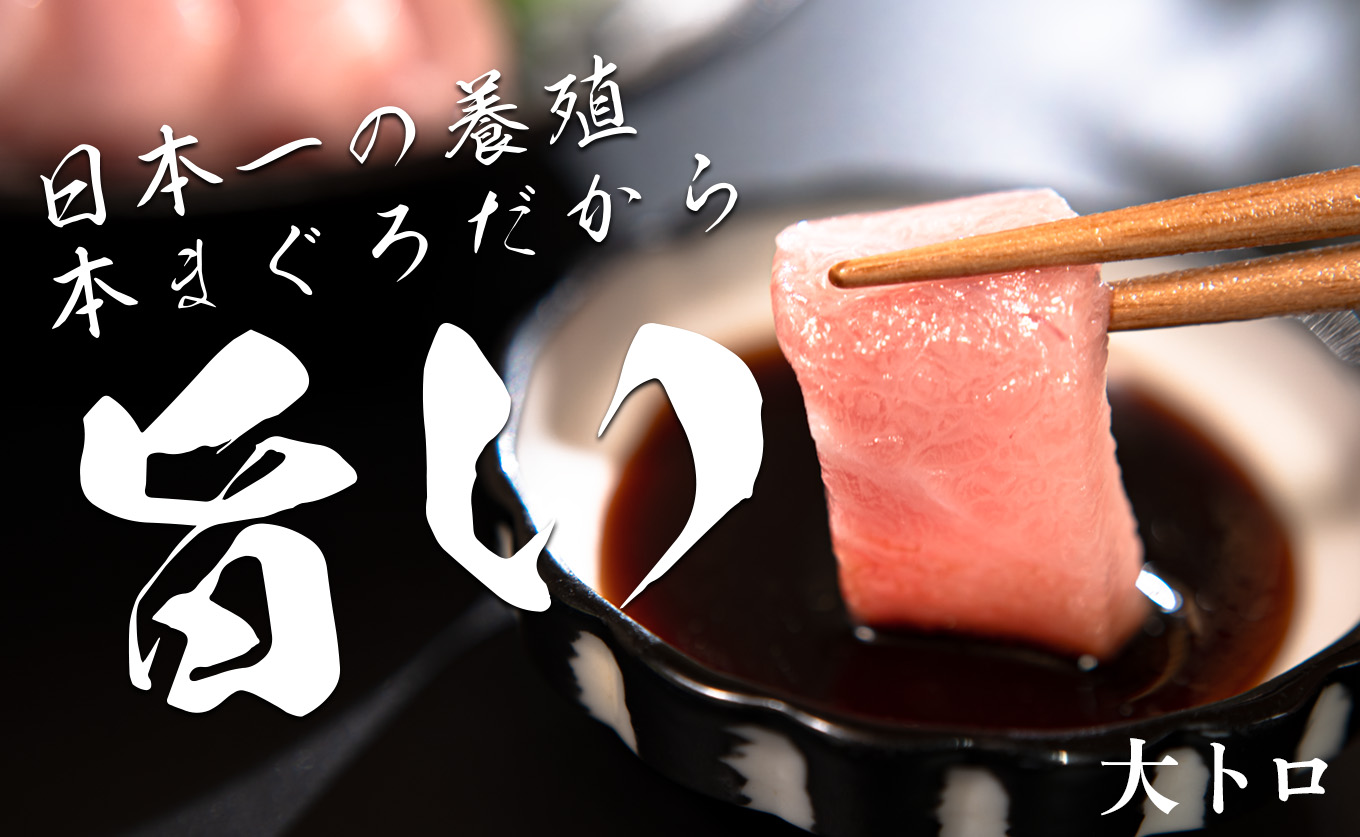訳あり まぐろ マグロ 本鮪 黒潮本まぐろ 大トロ 定期便 6回 500g × 6回 刺身 さしみ 最優秀賞 全国養殖クロマグロ品評会 受賞 魚 魚介類 海鮮 柵 サク 冷凍 お取り寄せ 産地直送 ギ