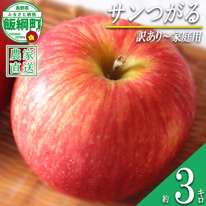 【ふるさと納税】 りんご サンつがる 3kg 訳あり 〜 家庭用 マルハ農園 沖縄県への配送不可 〔 果物 フルーツ 林檎 長野 予約 農家直送 3キロ 10000円 〕【令和8年度収穫分】 発送：2026年9月上旬〜2026年9月下旬頃