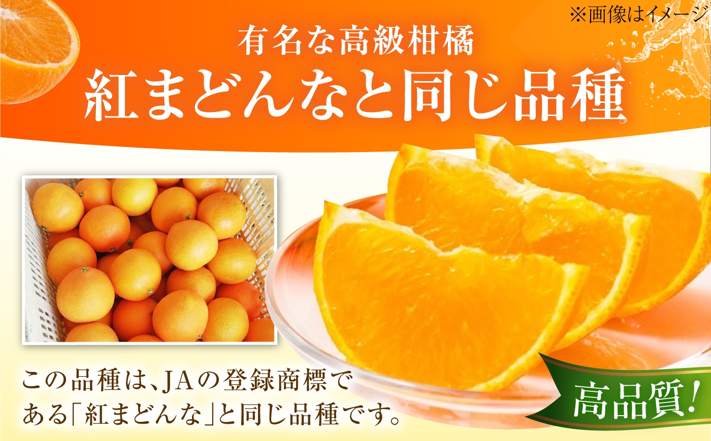 柑橘 愛果28号 訳あり 訳アリ 5kg キズあり サイズいろいろ　愛媛