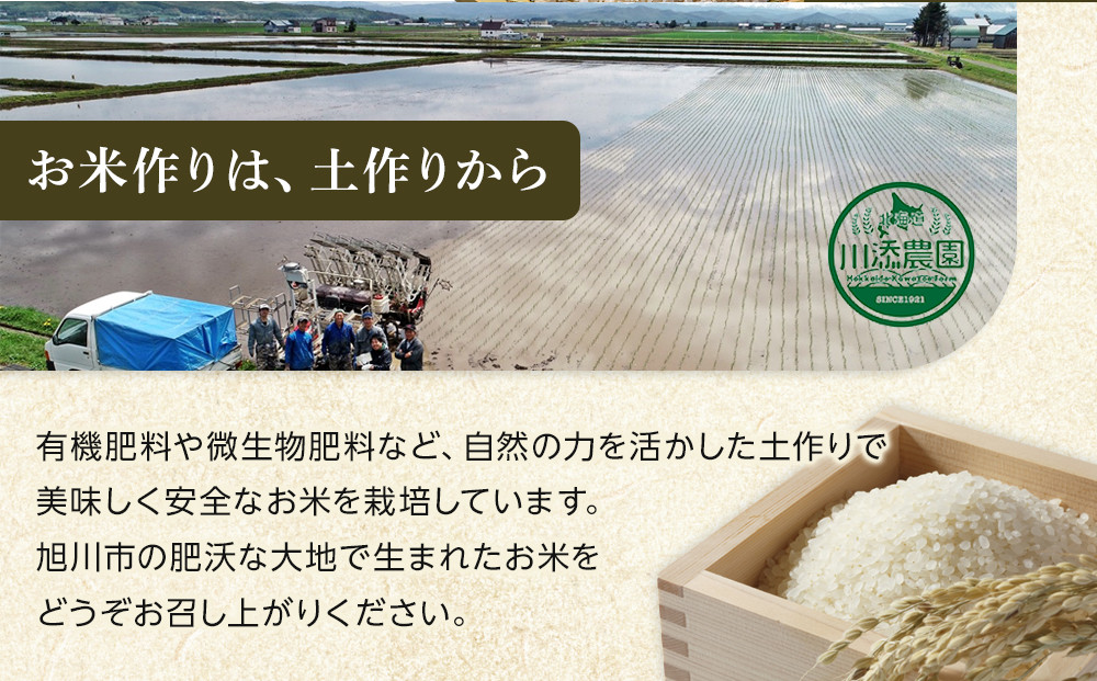 令和7年産　おぼろづき 無洗米 真空パック 5kg×1袋 5kg【 白米 精米 ご飯 ごはん 米 5kg お米 旭川市 北海道 】_06547