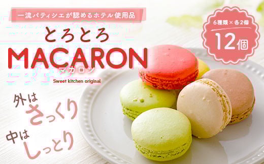 【2025年11月発送】 一流パティシエが認めるホテル使用品 お試し マカロン セット 12個（6種類×2個）冷凍 スイーツ デザート とろとろ 洋菓子 【選べる配送月】
