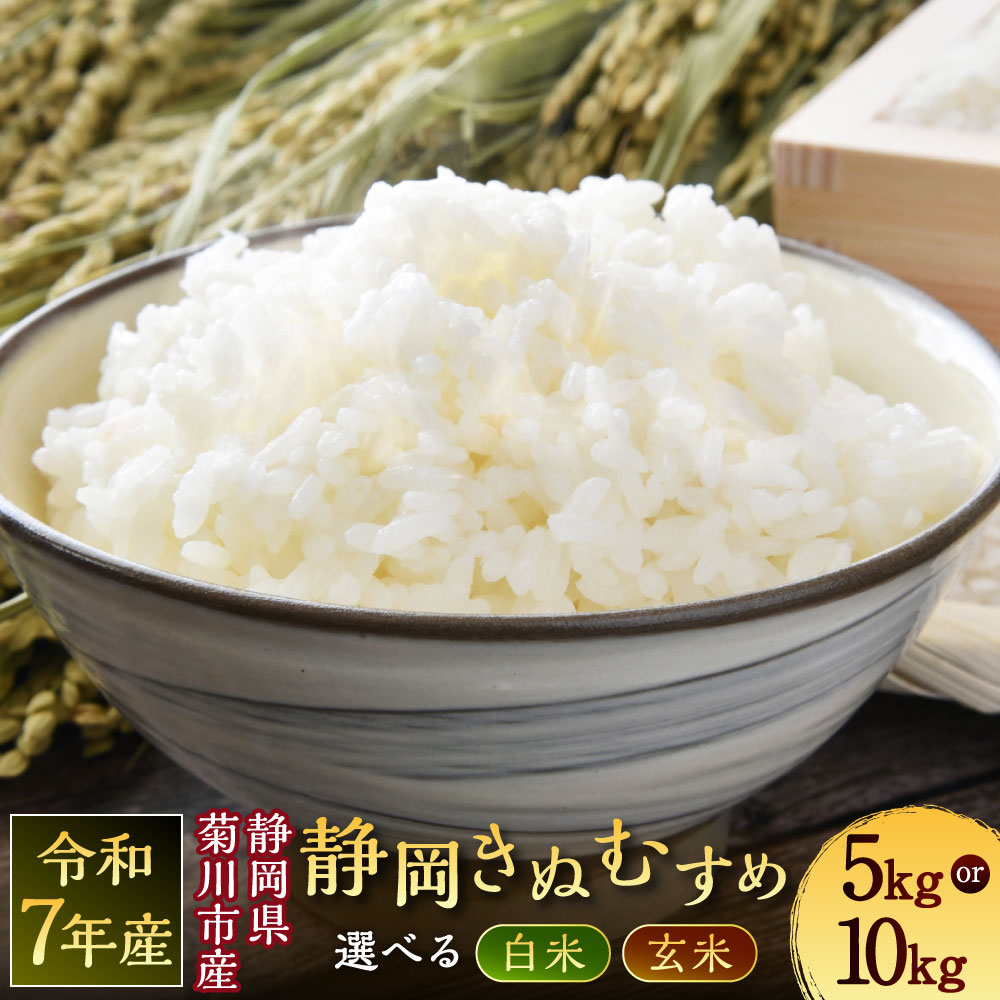 【ふるさと納税】＜選べる種類・内容量・発送時期＞【令和7年産】菊川市産 静岡きぬむすめ 白米 / 玄米 5kg×1袋 / 10kg×1袋 お米 こめ 精米 単一原料米 ごはん ご飯 お弁当 おにぎり 静岡県産 国産 静岡県 菊川市 送料無料 【2025年11月～2026年3月発送予定】