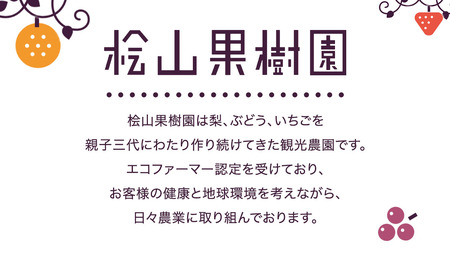 【 先行予約 】 極上プレミアム シャインマスカット1房1kg以上 数量限定 5房入り【 茨城県共通返礼品 ／ 常陸太田市 】 桧山果樹園 農家直送 桧山果樹園 農家直送 フルーツ 甘い 直送 茨城 