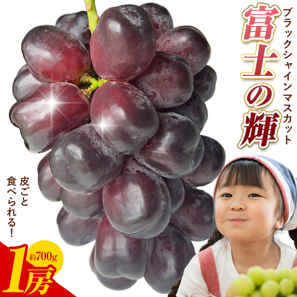 【ふるさと納税】ぶどう 富士の輝 1房 700g 株式会社ヤマナカ《8月中旬-9月下旬頃出荷》茨城県 結城市 アッシーリス フルーツ 旬 種なしぶどう たねなし 皮ごと食べられる シャインマスカット 果物 冷蔵便 送料無料 ブラックシャインマスカット