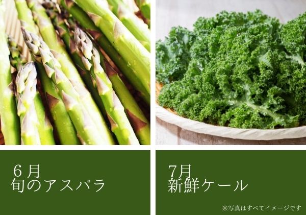 【数量限定】北海道 ニセコ 旬の有機栽培野菜セット 定期配送4回分  オーガニック 野菜詰め合わせ お取り寄せ グルメ