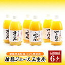 【ふるさと納税】柑橘ジュース三重奏 飲み比べ 6本セット(500ml×6本セット) 愛媛 オレンジジュース みかん ジュース フルーツジュース 無添加 果汁100% ストレート【VB00630】