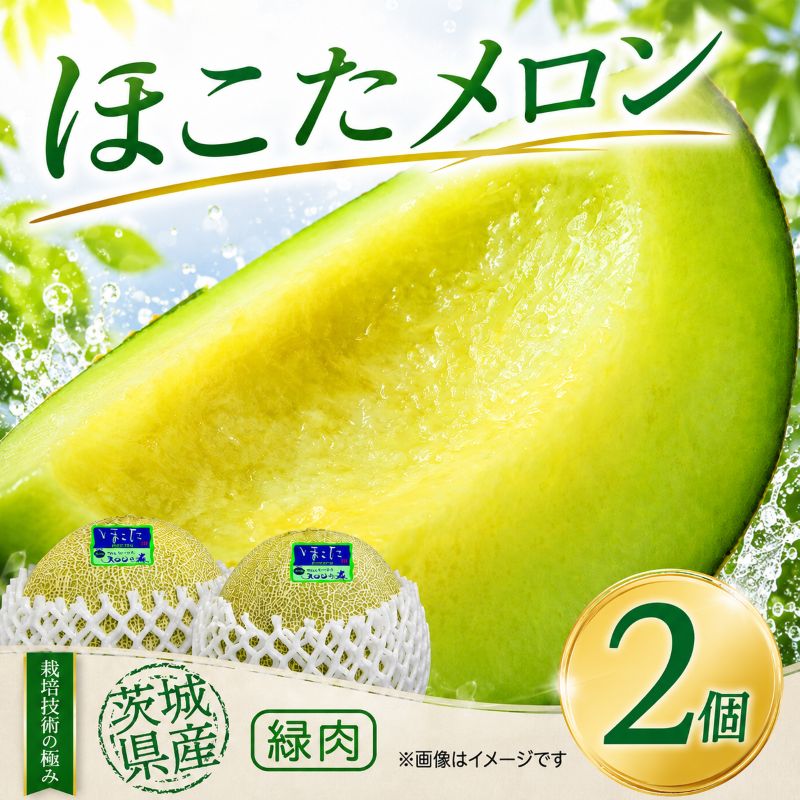【ふるさと納税】メロン めろん ほこたメロン 2玉 緑肉 ギフト 鉾田 果物 人気 おすすめ 贈答 茨城 お返し 先行予約 スイーツ 送料無料 味 茨城県 還元率 青肉 フルーツ めろん 鉾田市 デザート くだもの お取り寄せ 甘い ジューシー 期間限定 メロンの森 フォレストパーク
