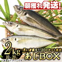 【ふるさと納税】＜数量限定＞鮮度が命！鮮魚問屋が厳選した『早い者勝ち！！200個限定あじBOX』(10～20尾・総量2kg) アジ 鯵 魚 魚介類 鮮魚 海鮮 煮つけ 塩焼き フライ【江川商店】【0193206a】