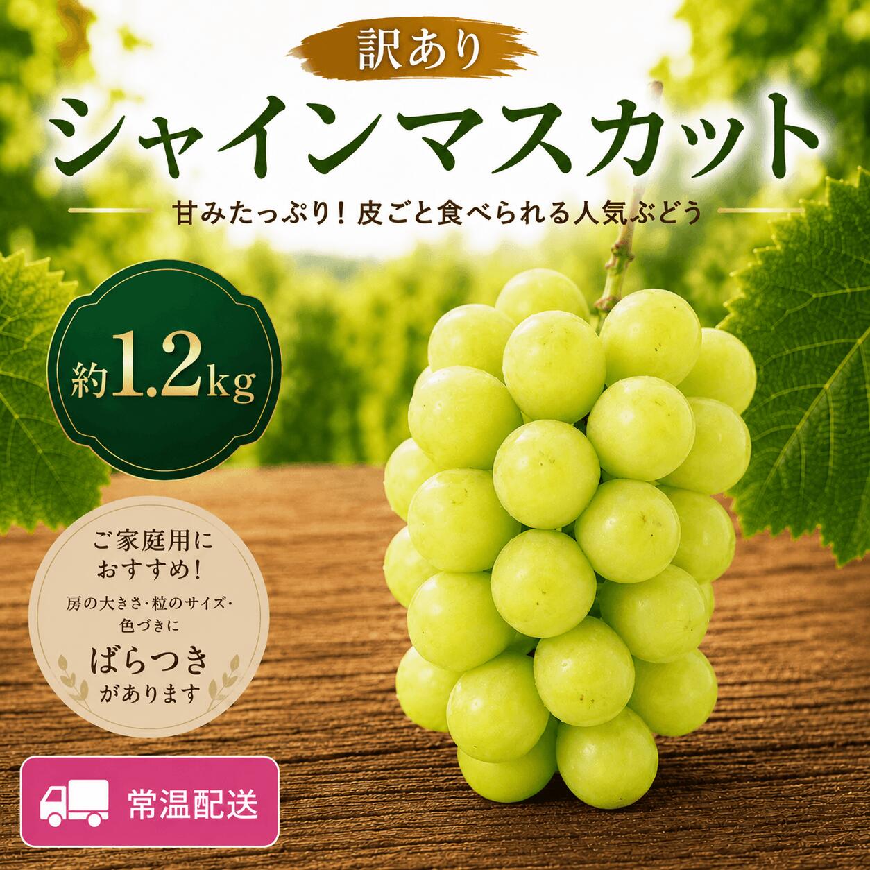 【ふるさと納税】訳あり シャインマスカット 約1.2kg 常温配送《9月中旬-11月中旬出荷予定(土日祝除く)》広島県 神石高原町 果物 フルーツ ぶどう 訳あり 送料無料