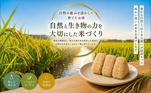 農家さんも「上場（うわば）の米にはかなわん」と言うほど、上場台地は
おいしいお米の産地です。