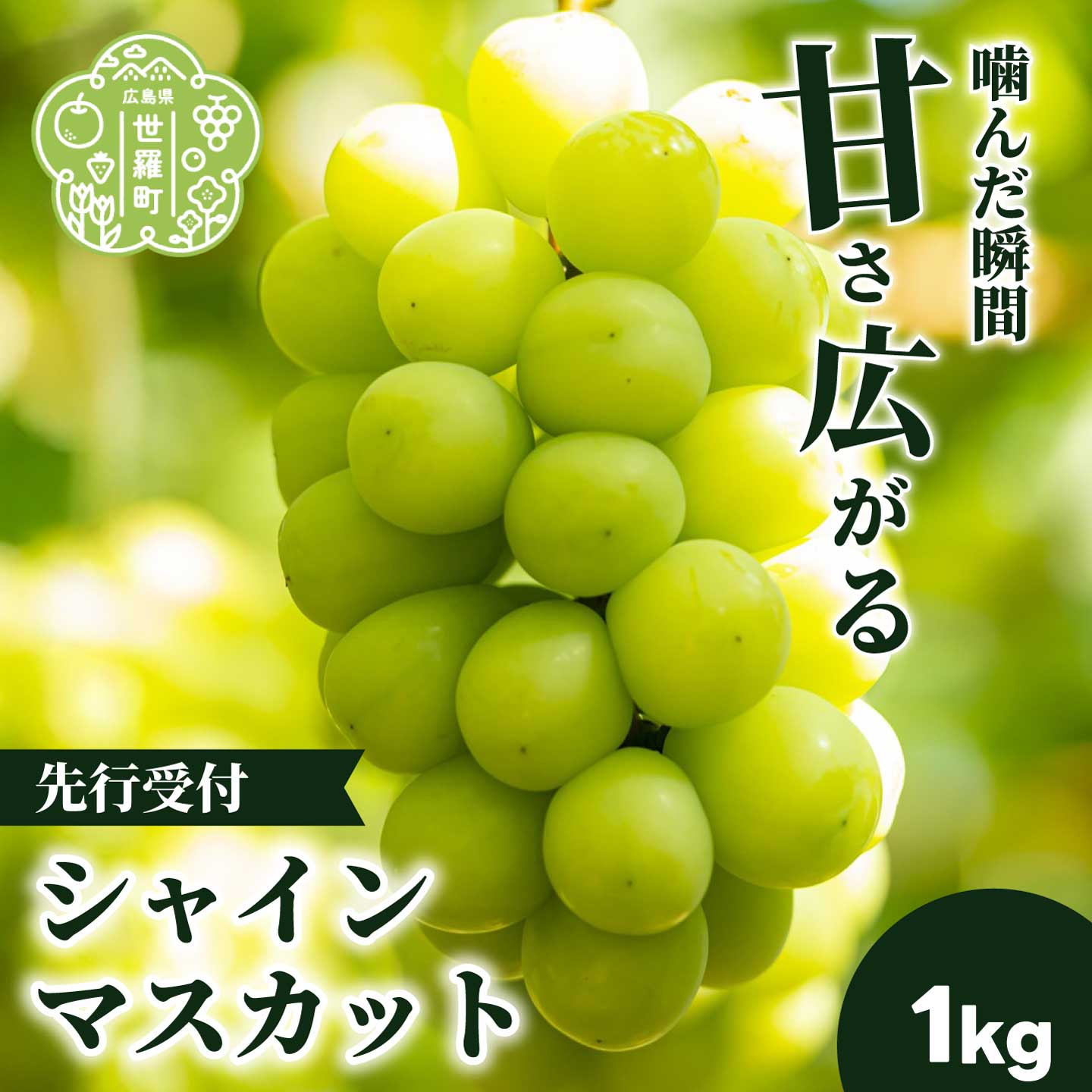 【ふるさと納税】シャインマスカット1kg (2房) 【2026年10月上旬以降順次発送】安井農園 ぶどう ブドウ 葡萄 ピオーネ フルーツ 果物 くだもの 産地直送 世羅 A009-04