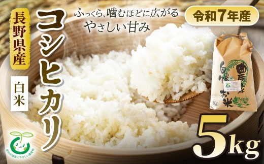 コシヒカリ 5kg 白米 信州 安曇野 松川村産 特別栽培米 | そば処こうや 米 こめ コメ お米 白米 特別栽培米 コシヒカリ こしひかり ライス 長野県 松川村 信州