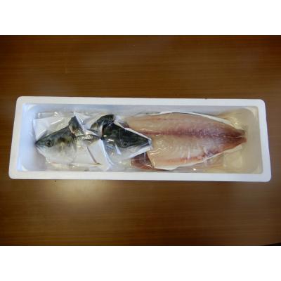ふるさと納税 多度津町 オリーブはまち1本まるごと(半身カット)【先行受付:令和7年10月中旬頃から出荷】【C-312】 |  | 03