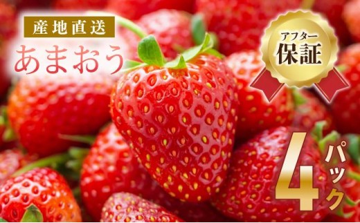 福岡産 あまおう いちご 270g×4パック 1080g
