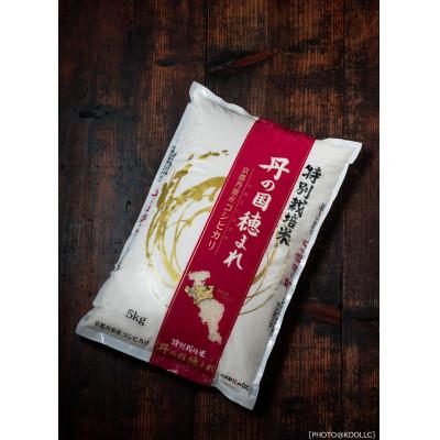 ふるさと納税 舞鶴市 【毎月定期便】京都府産　環境にやさしいお米(精米)　コシヒカリ「丹の国穂まれ」5kg 全3回