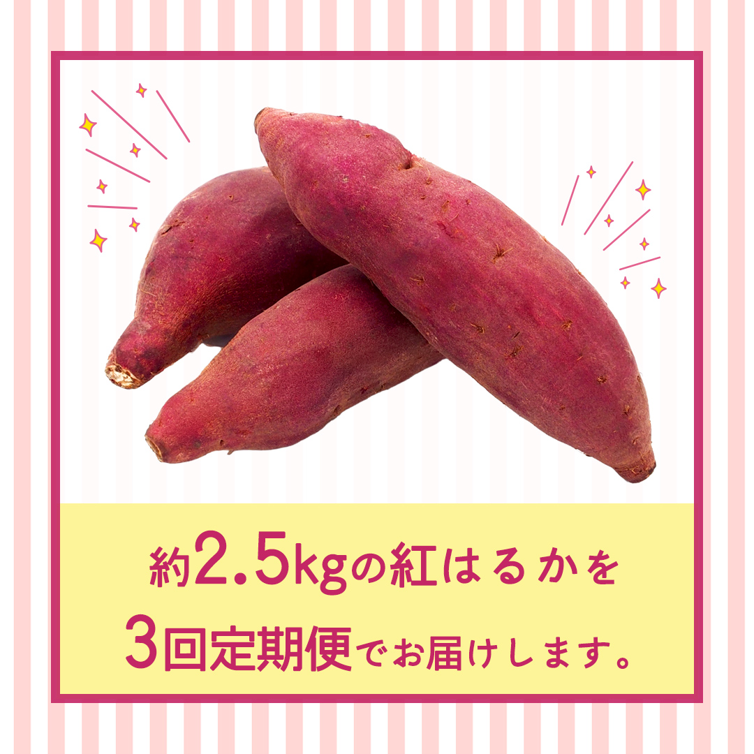 紅はるか 約 2.5kg （3回 定期便 ）（茨城県共通返礼品 [さつまいも]：行方市産） べにはるか 3か月定期便 定期便 べにはるか さつまいも 生芋 芋 サツマイモ 甘い 焼き芋 スイートポテト ねっとり 茨城県産 お取り寄せ 野菜 根菜 いも [FC84-NT]