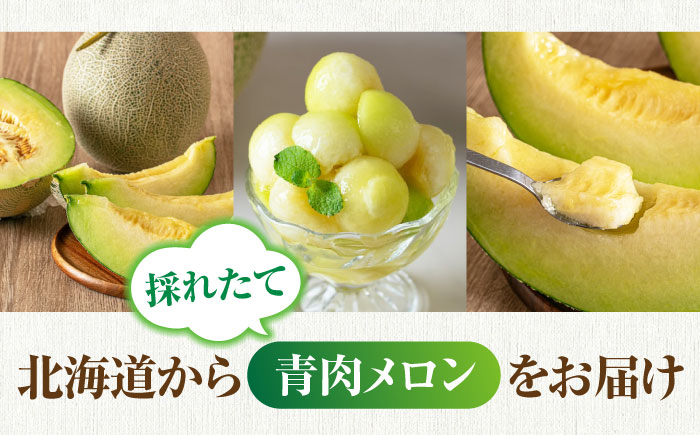  メロン 化粧箱入り フルーツ 果物 青肉 先行予約 常温 常温配送 北海道 