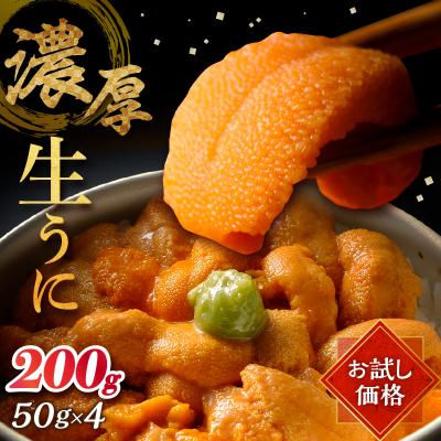 ふるさと納税 浜中町 【お試し価格】氷温熟成生うに　200g_H0009-001