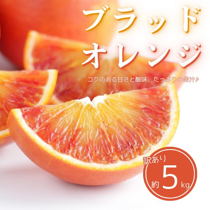 
                  訳あり ブラッドオレンジ タロッコ 約5kg 柑橘 フルーツ 果物 みかん 家庭用 傷 不揃い 農園 直送 エニシトラス 愛媛県 愛南町 発送期間: 2月下旬～（なくなり次第終了）
                
