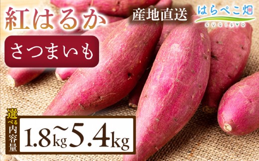 
                  《選べる容量》【ねっとり甘い蜜芋】さつまいも 紅はるか（1.8kg/箱）・H099-SKU
                