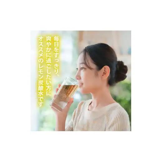 炭酸水 定期便 隔月 6回 レモン 500ml×24本 ソーダ 瀬戸内産 レモンエキス