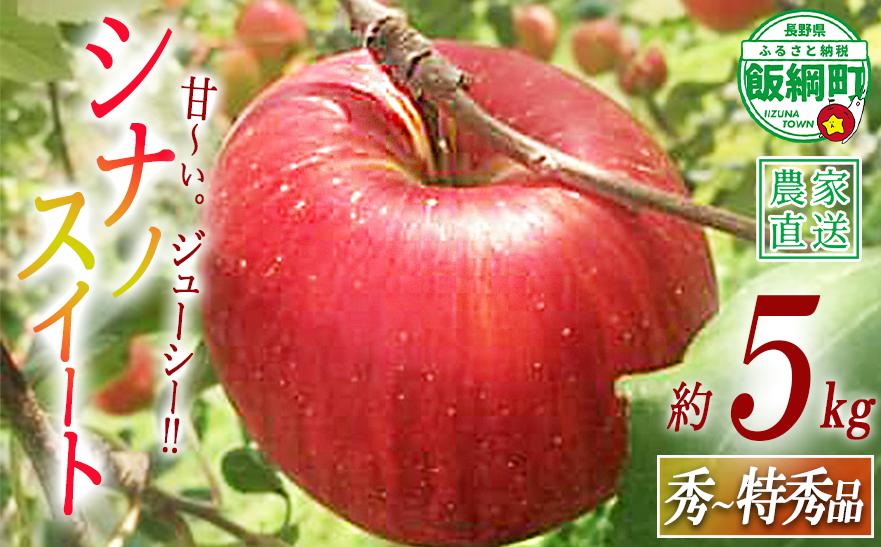 
                  りんご シナノスイート 秀 ～ 特秀 5kg 中村ファーム 沖縄県への配送不可 2026年10月中旬頃から2026年11月上旬頃まで順次発送予定 令和8年度収穫分 長野県 飯綱町 [0904]
                