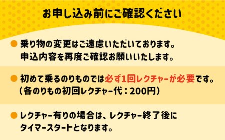 ゴーカート30分体験 吉野ヶ里/e-ビークルパーク GOカート 乗り物 のりもの レジャー アウトドア 遊び  [FCS001]