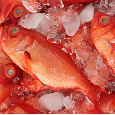 ふるさと納税 館山市 地金目鯛炊き込みご飯のもと　2パック |  | 01