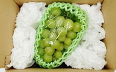 【2026年度 先行予約】涼風フルーツ定期便 全4回 さくらんぼ メロン 桃 シャインマスカット 果物 フルーツ FSY-2069