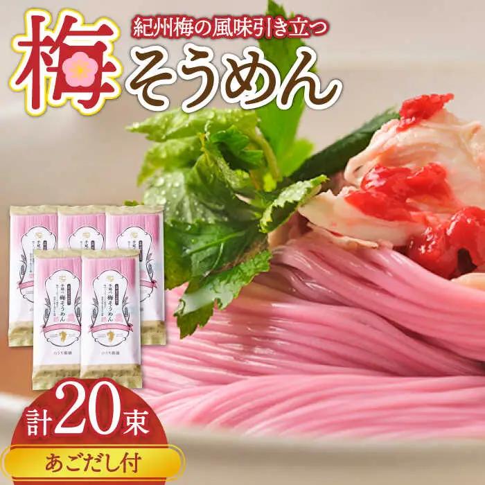 手延べ梅そうめんセット あごだしスープ付き 1.1kg / そうめん 素麺 麺 乾麺 梅 うめ ウメ / 南島原市 / のうち製麺 [SAF043]