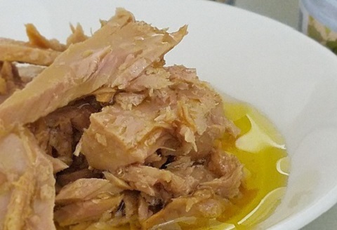 ［1116］熟成 黒潮のツナ缶 カツオの旨みを生かした缶詰　8缶セット