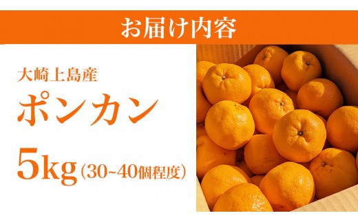 大崎上島産 ポンカン 5kg ( 30～40個程度 ) ぽんかん 柑橘 みかん フルーツ 柑橘 蜜柑 お取り寄せ