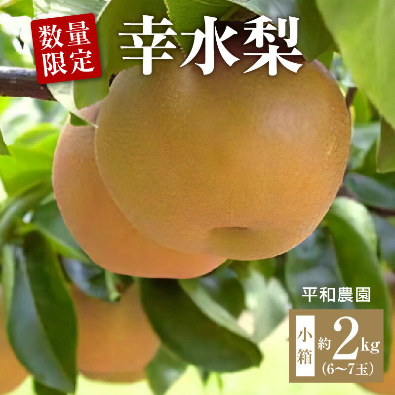 【ふるさと納税】【配送不可地域：北海道・沖縄県・離島】数量限定！ 締め切り間近 平和農園 幸水梨 小箱（6〜7玉）＜約2kg＞