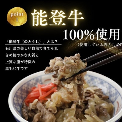 【湯せんで手早く】能登牛 牛丼の具100g×8袋【配送不可地域：離島】【1669642】